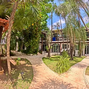https://apart-hotel-casaejido.allrivieramayahotels.com